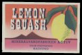 Lemon Squash
