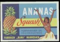 Ananas Squash