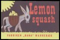 lemon Squash