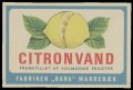 Citronvand