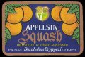 Appelsin Squash - Fremstillet af friske appelsiner