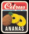 Ananas - Brystetiket