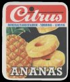 Ananas - Brystetiket