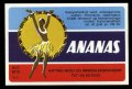 Ananas - Brystetiket