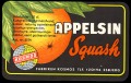 Appelsin squash