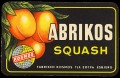 Abrikos squash