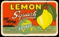 Lemon squash