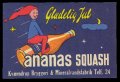 Ananas Squash - Brystetiket