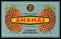 Ananas - Brystetiket