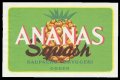 Ananas Squash - Brystetiket