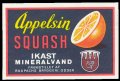 Appelsin Squash - Brystetiket