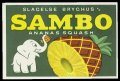 Sambo ananas squash