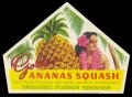 Ananas squash - Brystetiket