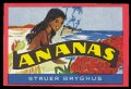 Ananas - Brystetiket