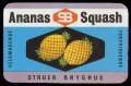 Ananas Squash - Brystetiket