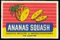 Ananas Squash