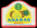 Ananas Squash - Brystetiket