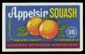 Appelsin Squash - Brystetiket