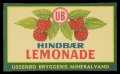 Hindbr Lemonade - Brystetiket