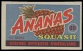 Ananas Squash - Brystetiket