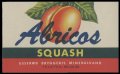 Abricos Squash - Brystetiket