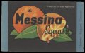 Messina Squash - Brystetiket