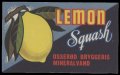 Lemon Squash - Brystetiket